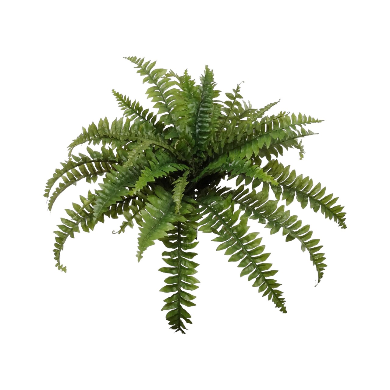 6-Pack: UV Boston Fern Plant with 35 Silk Fronds, 34&#x22; Wide by Floral Home&#xAE;